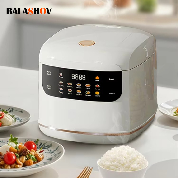 MultiCooker Electric Rice Cook - đánh giá và giá Camping Cooking Rice