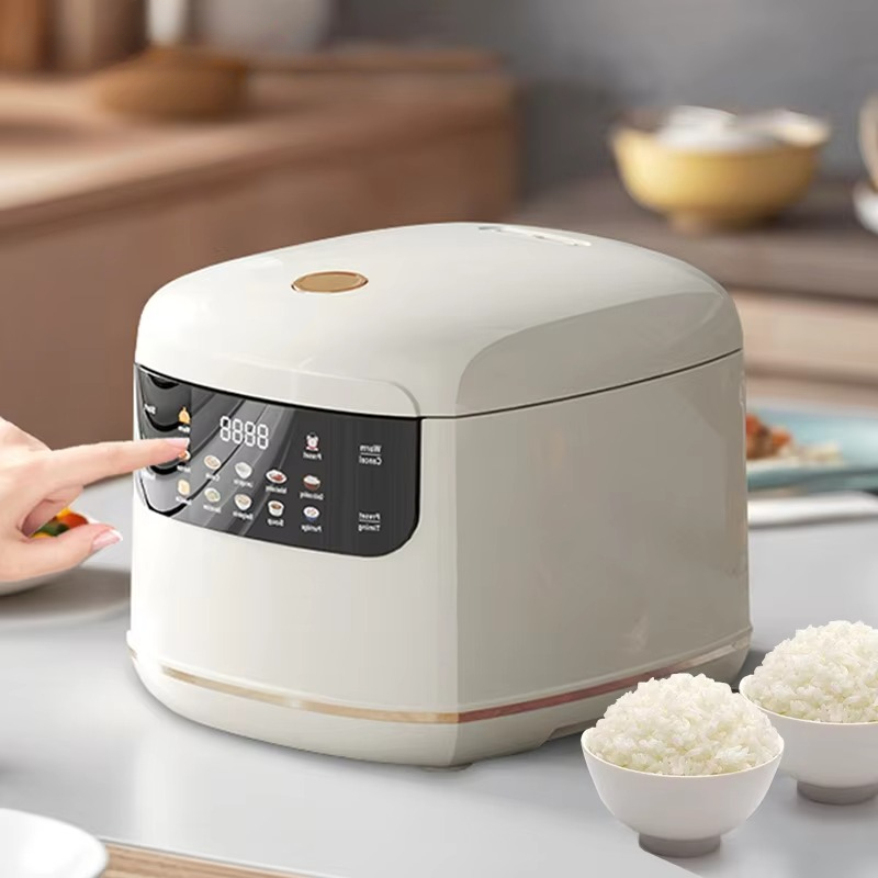 MultiCooker Electric Rice Cook - đánh giá và giá Camping Cooking Rice