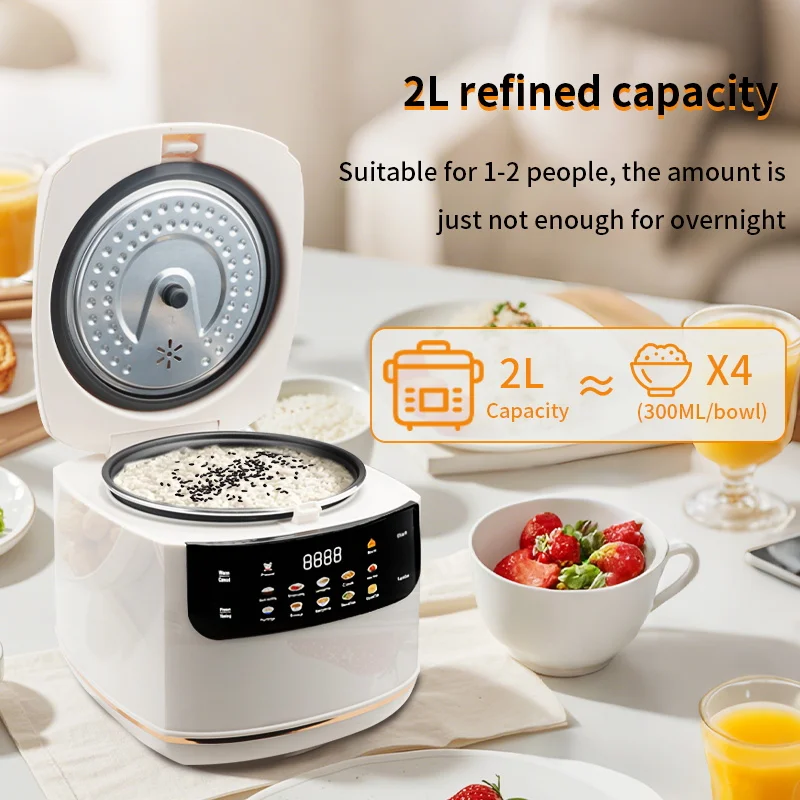 MultiCooker Electric Rice Cook - đánh giá và giá Camping Cooking Rice