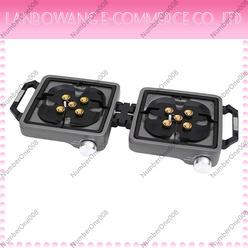 Outdoor Dual Burner High Power - đánh giá và giá Camping Cooking With Gas