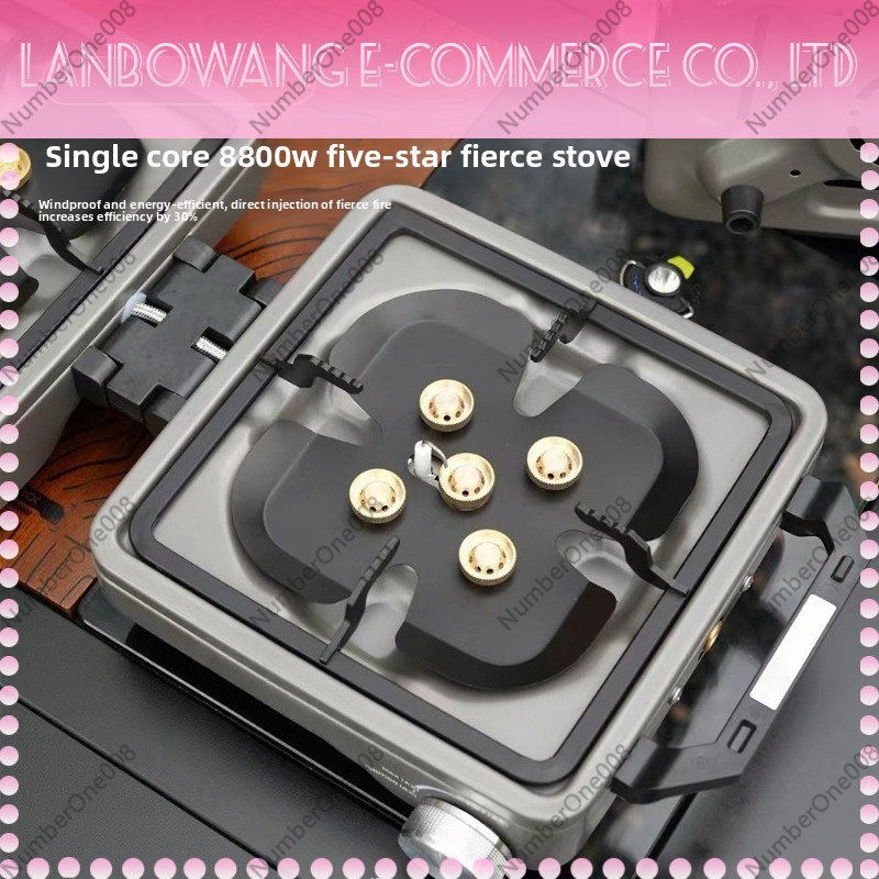 Outdoor Dual Burner High Power - đánh giá và giá Camping Cooking With Gas